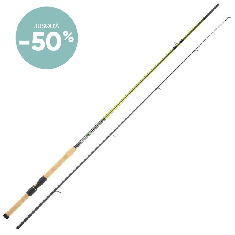 Cannes vairon mani&eacute;